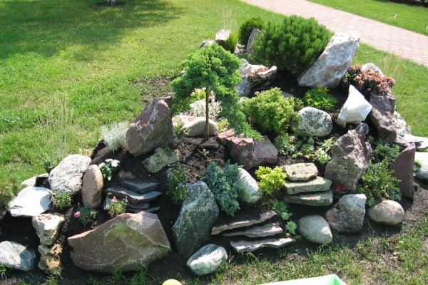 alpine-hutches-in-garden-divide-on-several-types4C31D5CF-B1A7-9A12-AB68-82ECEDE5623D.jpg